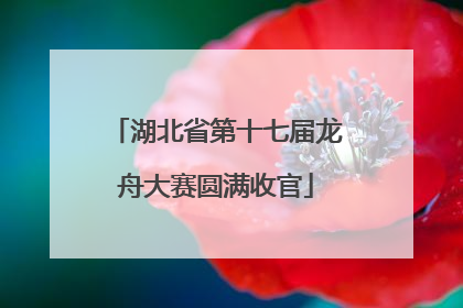 湖北省第十七届龙舟大赛圆满收官