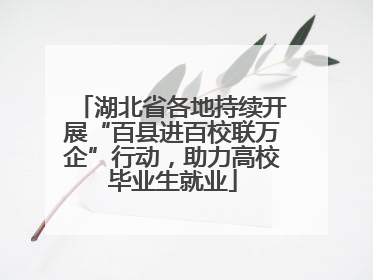 湖北省各地持续开展“百县进百校联万企”行动，助力高校毕业生就业