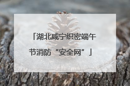 湖北咸宁织密端午节消防“安全网”