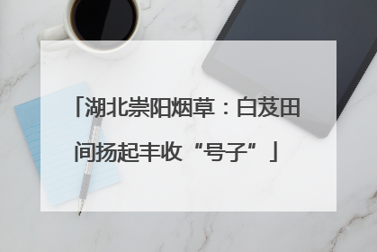 湖北崇阳烟草：白芨田间扬起丰收“号子”
