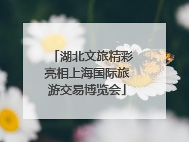 湖北文旅精彩亮相上海国际旅游交易博览会