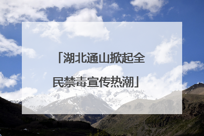 湖北通山掀起全民禁毒宣传热潮