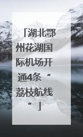 湖北鄂州花湖国际机场开通4条“荔枝航线”