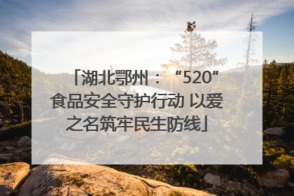 湖北鄂州：“520”食品安全守护行动 以爱之名筑牢民生防线