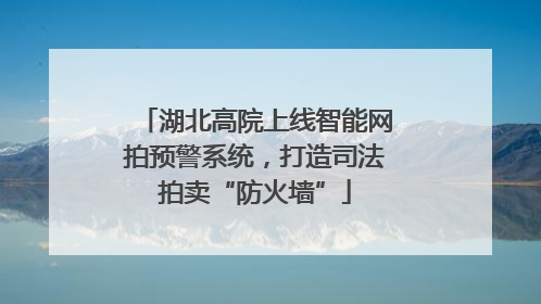 湖北高院上线智能网拍预警系统，打造司法拍卖“防火墙”