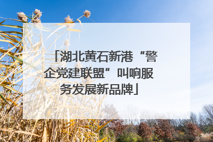 湖北黄石新港“警企党建联盟”叫响服务发展新品牌