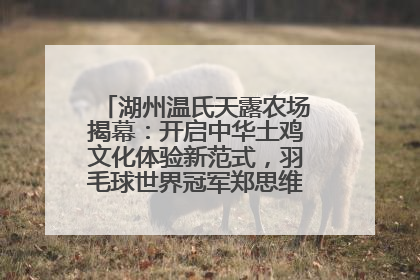 湖州温氏天露农场揭幕：开启中华土鸡文化体验新范式，羽毛球世界冠军郑思维助力品牌兴农