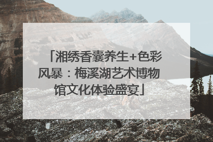 湘绣香囊养生+色彩风暴：梅溪湖艺术博物馆文化体验盛宴