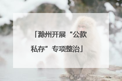 滁州开展“公款私存”专项整治
