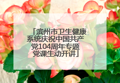 滨州市卫生健康系统庆祝中国共产党104周年专题党课生动开讲