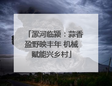 漯河临颍：蒜香盈野映丰年 机械赋能兴乡村