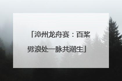 漳州龙舟赛：百桨劈浪处一脉共潮生