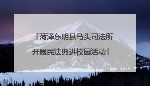 菏泽东明县马头司法所开展民法典进校园活动