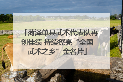 菏泽单县武术代表队再创佳绩 持续擦亮“全国武术之乡”金名片