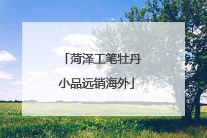 菏泽工笔牡丹小品远销海外