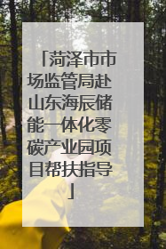 菏泽市市场监管局赴山东海辰储能一体化零碳产业园项目帮扶指导