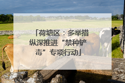 荷塘区：多举措纵深推进“禁种铲毒”专项行动