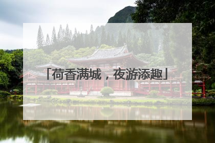 荷香满城，夜游添趣