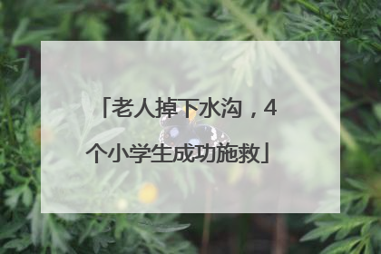 老人掉下水沟，4个小学生成功施救