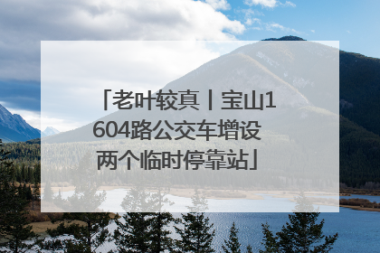 老叶较真丨宝山1604路公交车增设两个临时停靠站
