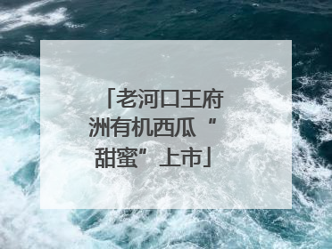 老河口王府洲有机西瓜“甜蜜”上市