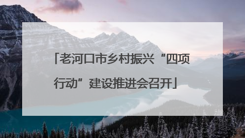 老河口市乡村振兴“四项行动”建设推进会召开