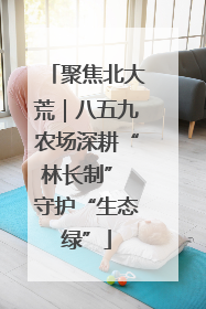 聚焦北大荒｜八五九农场深耕“林长制” 守护“生态绿”