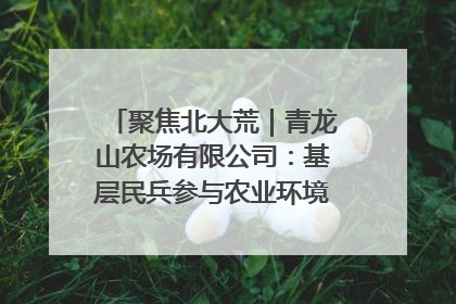 聚焦北大荒｜青龙山农场有限公司：基层民兵参与农业环境综合治理显效