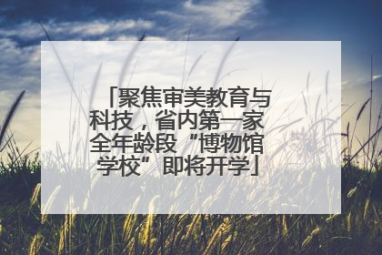 聚焦审美教育与科技，省内第一家全年龄段“博物馆学校”即将开学