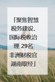 聚焦智慧税务建设、国际税收治理 29名非洲财税官湖南取经