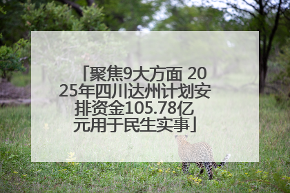 聚焦9大方面 2025年四川达州计划安排资金105.78亿元用于民生实事