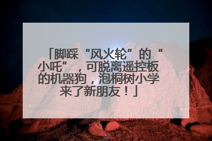 脚踩“风火轮”的“小吒”，可脱离遥控板的机器狗，泡桐树小学来了新朋友！