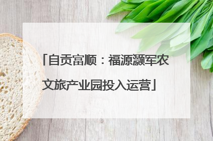 自贡富顺：福源灏军农文旅产业园投入运营