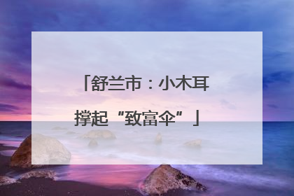 舒兰市：小木耳撑起“致富伞”