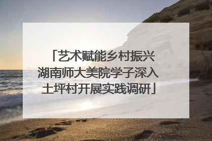 艺术赋能乡村振兴 湖南师大美院学子深入土坪村开展实践调研