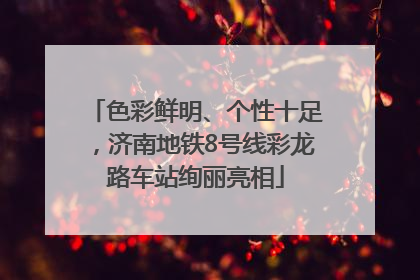 色彩鲜明、个性十足，济南地铁8号线彩龙路车站绚丽亮相