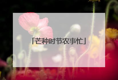 芒种时节农事忙