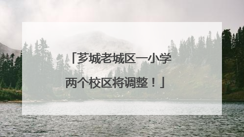 芗城老城区一小学两个校区将调整！