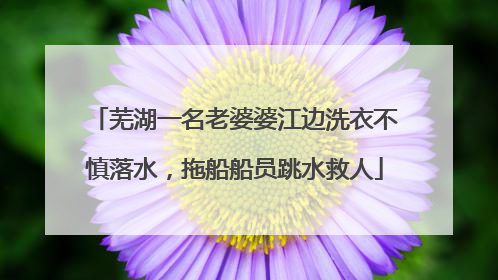 芜湖一名老婆婆江边洗衣不慎落水，拖船船员跳水救人