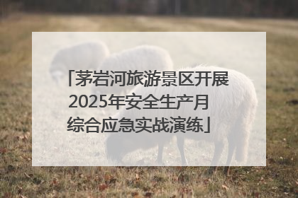 茅岩河旅游景区开展2025年安全生产月综合应急实战演练