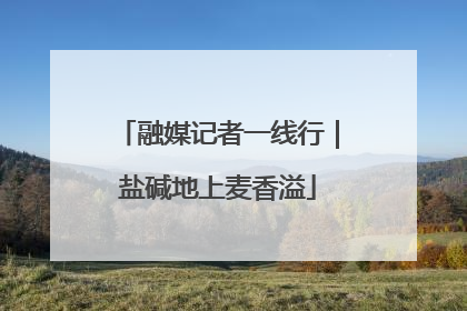 融媒记者一线行｜盐碱地上麦香溢
