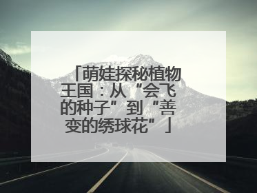 萌娃探秘植物王国：从“会飞的种子”到“善变的绣球花”