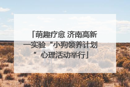 萌趣疗愈 济南高新一实验“小狗领养计划”心理活动举行