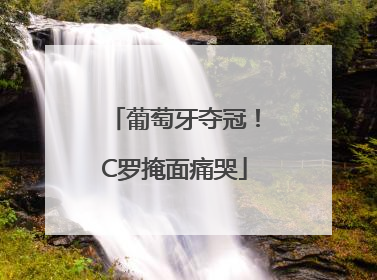 葡萄牙夺冠！C罗掩面痛哭