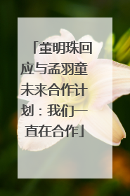 董明珠回应与孟羽童未来合作计划：我们一直在合作