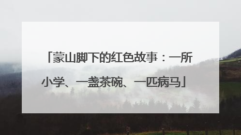 蒙山脚下的红色故事：一所小学、一盏茶碗、一匹病马