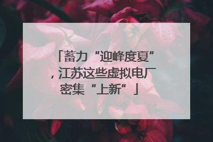 蓄力“迎峰度夏”，江苏这些虚拟电厂密集“上新”