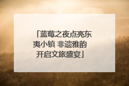 蓝莓之夜点亮东夷小镇 非遗雅韵开启文旅盛宴