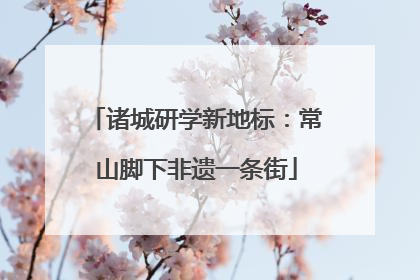 诸城研学新地标：常山脚下非遗一条街