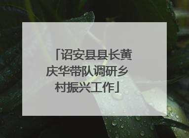 诏安县县长黄庆华带队调研乡村振兴工作